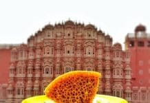 Best Ghewar in Jaipur With Prices – जयपुर में घेवर के लिए उत्तम स्थान BEST GHEWAR IN JAIPUR